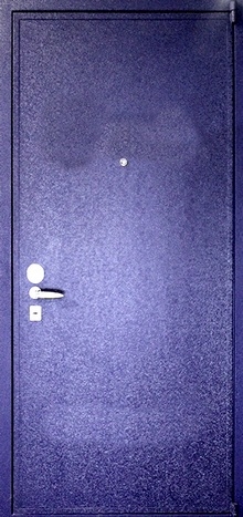 Фотография «Дверь уличная стальная с порошковым напылением синяя №80»