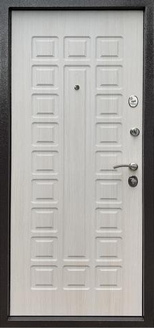 Фотография «Дверь эконом металлическая с порошковым покрытием №6»