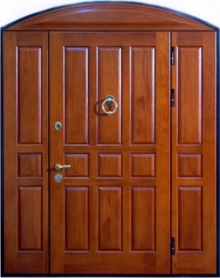Фотография «Непромерзающая железная парадная дверь №238»