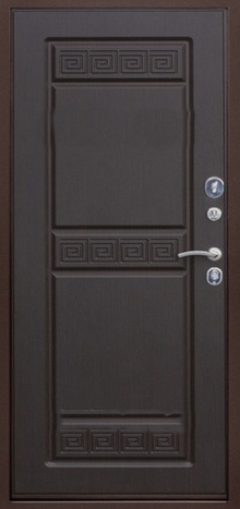 Фотография «Металлическая дверь с порошковым напылением медный антик №107»