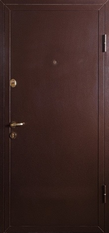 Фотография «Железная дверь для коттеджа с зеркалом №3»