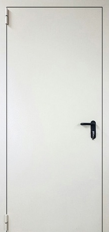 Фотография «Железная дверь для дачи с покрытием нитроэмалью белая №6»