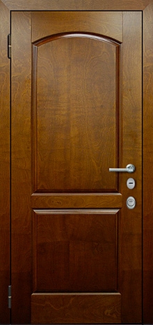Фотография «Металлическая дверь звукоизоляционная с порошковым напылением коричневая №36»