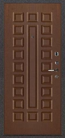 Фотография «Дверь металлическая с покрытием нитроэмалью №21»