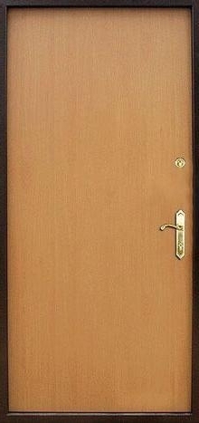 Фотография «Дверь ламинированная металлическая №12»