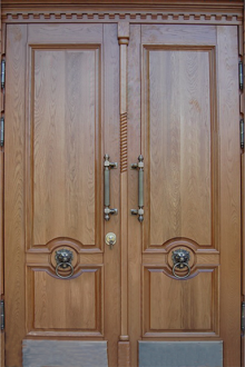 Фотография «Двухстворчатая железная парадная дверь №218»