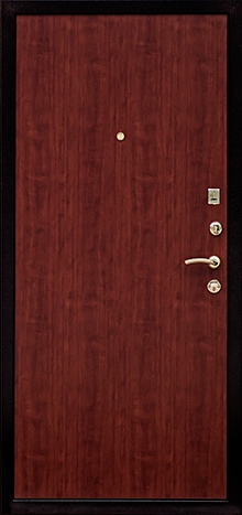 Фотография «Дверь шумоизолирующая с порошковым напылением железная коричневая №15»