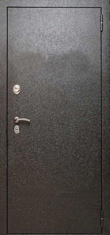 Фотография «Железная дверь с порошковым напылением №56»
