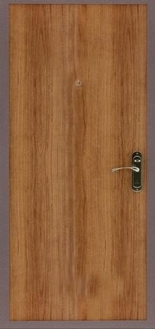 Фотография «Простая железная дверь с порошковым покрытием №2»