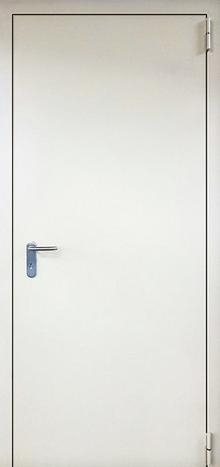 Фотография «Железная дверь для дачи с покрытием нитроэмалью белая №6»