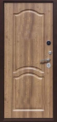 Фотография «Дверь для дачи металлическая с порошковым напылением коричневая №2»