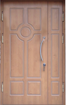 Фотография «Теплая металлическая дверь парадная №151»