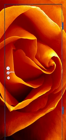 Фотография «Дверь железная с фотопечатью №11»
